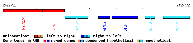 gene map