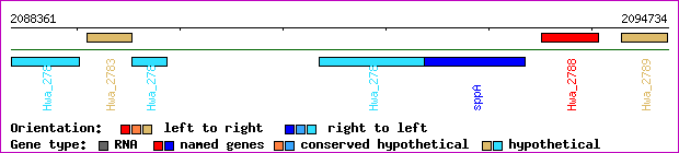 gene map
