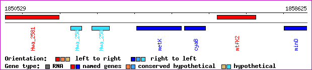 gene map