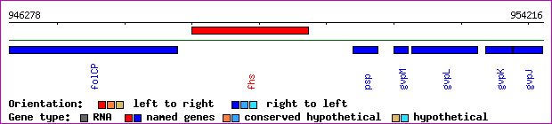 gene map