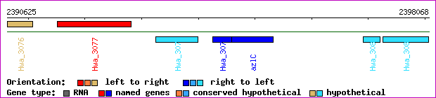 gene map