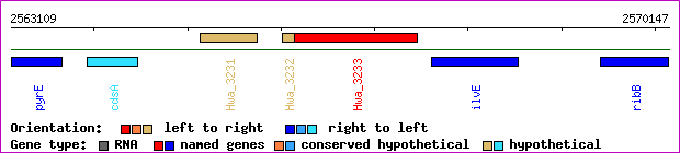 gene map