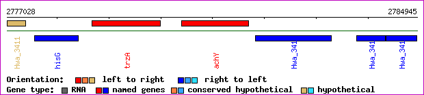 gene map