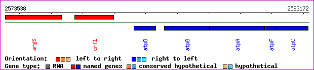 gene map