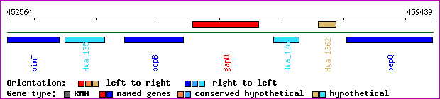 gene map