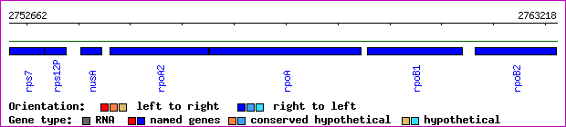 gene map