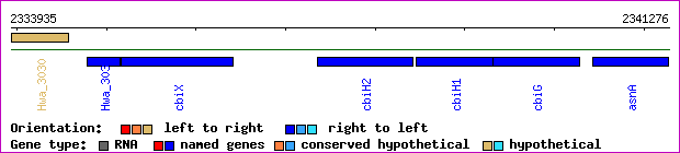 gene map