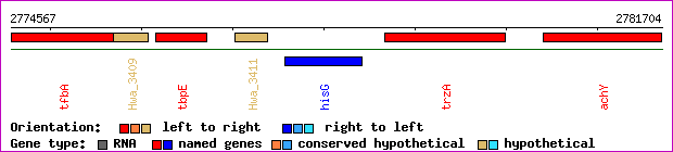 gene map