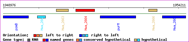 gene map