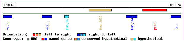 gene map