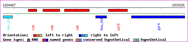 gene map