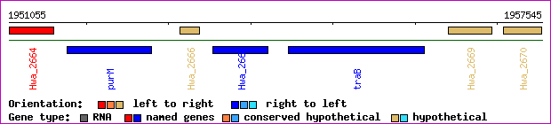 gene map