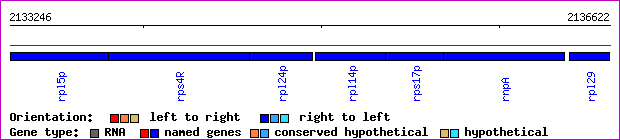 gene map