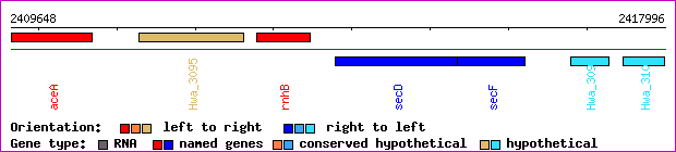 gene map