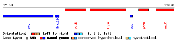 gene map