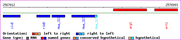 gene map