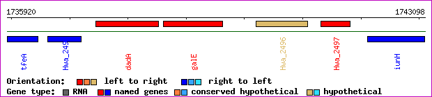 gene map