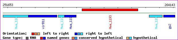 gene map