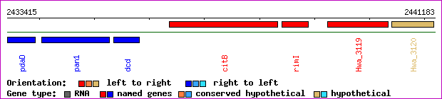 gene map