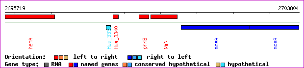 gene map