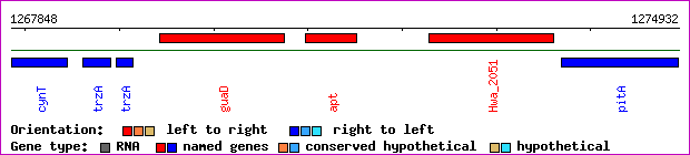 gene map