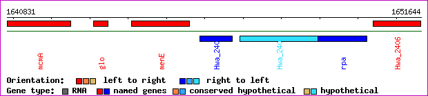 gene map