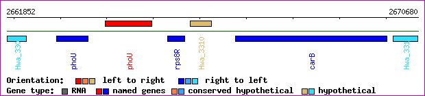 gene map