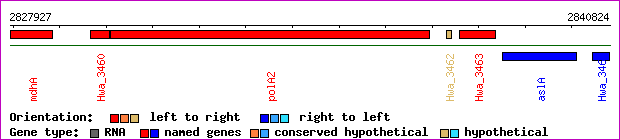 gene map