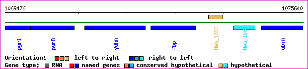 gene map