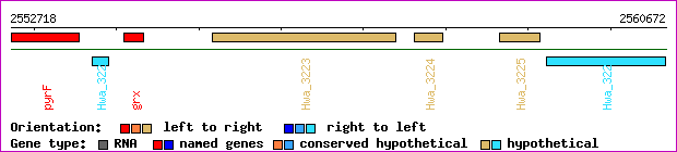 gene map
