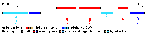 gene map