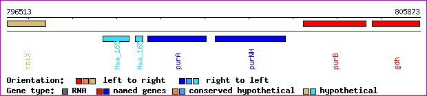 gene map