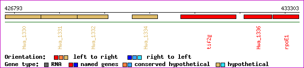gene map