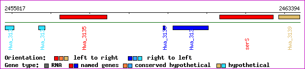 gene map
