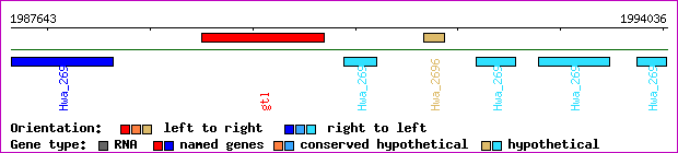 gene map