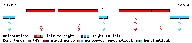 gene map