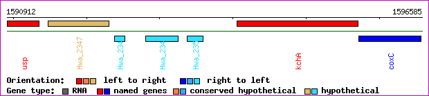 gene map