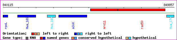 gene map