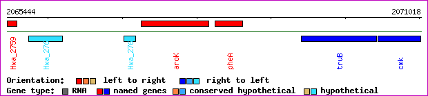 gene map