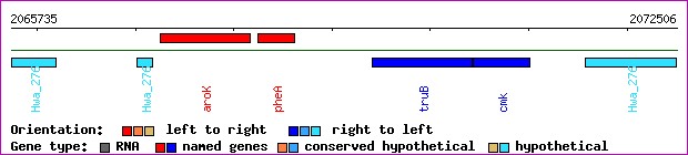 gene map