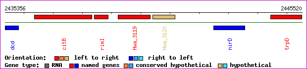 gene map