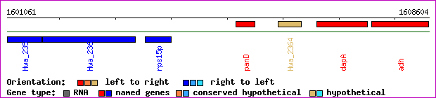 gene map
