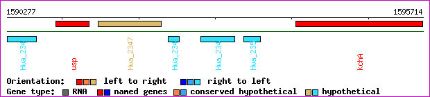 gene map