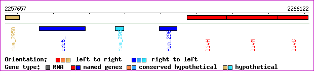 gene map