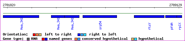 gene map