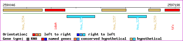 gene map