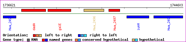 gene map