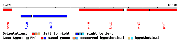 gene map