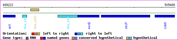 gene map