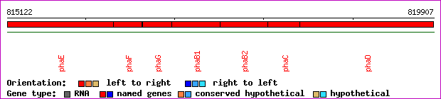 gene map